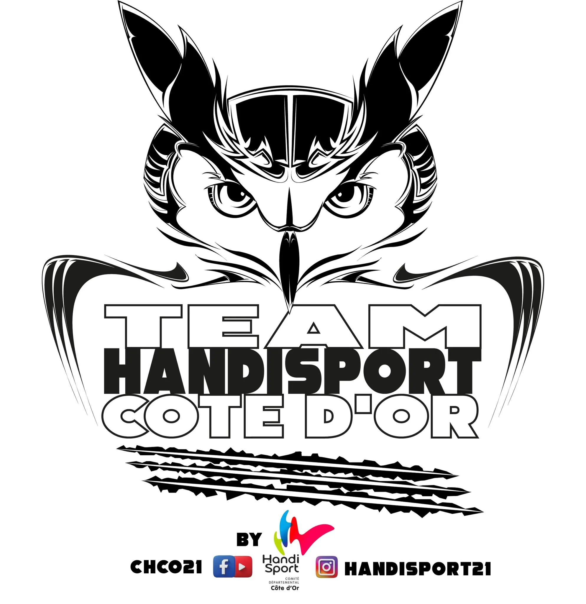 Comité Départemental Handisport Côte-d'Or